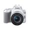 Canon/佳能 EOS 200D II EF-S 18-55 单反套机